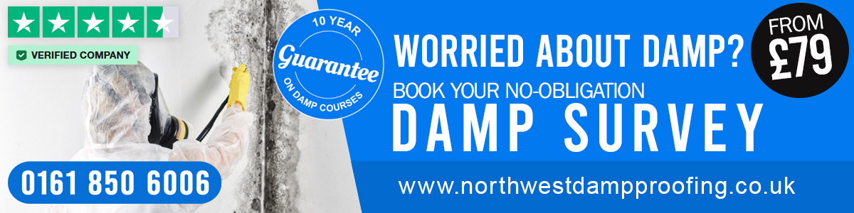 Damp Specialists